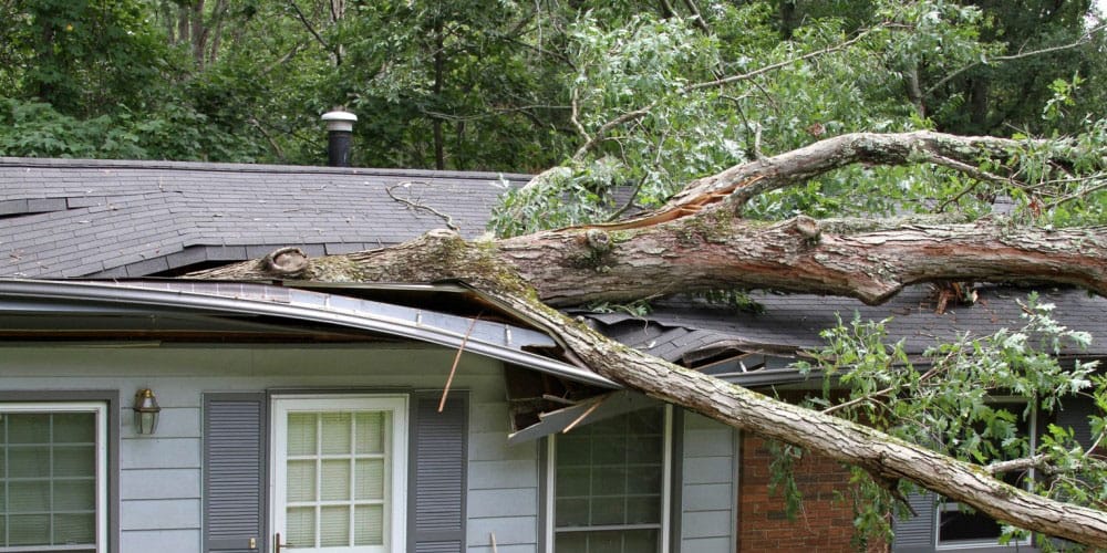 HammerHead Roofing LLC Storm Damage Repair Expert