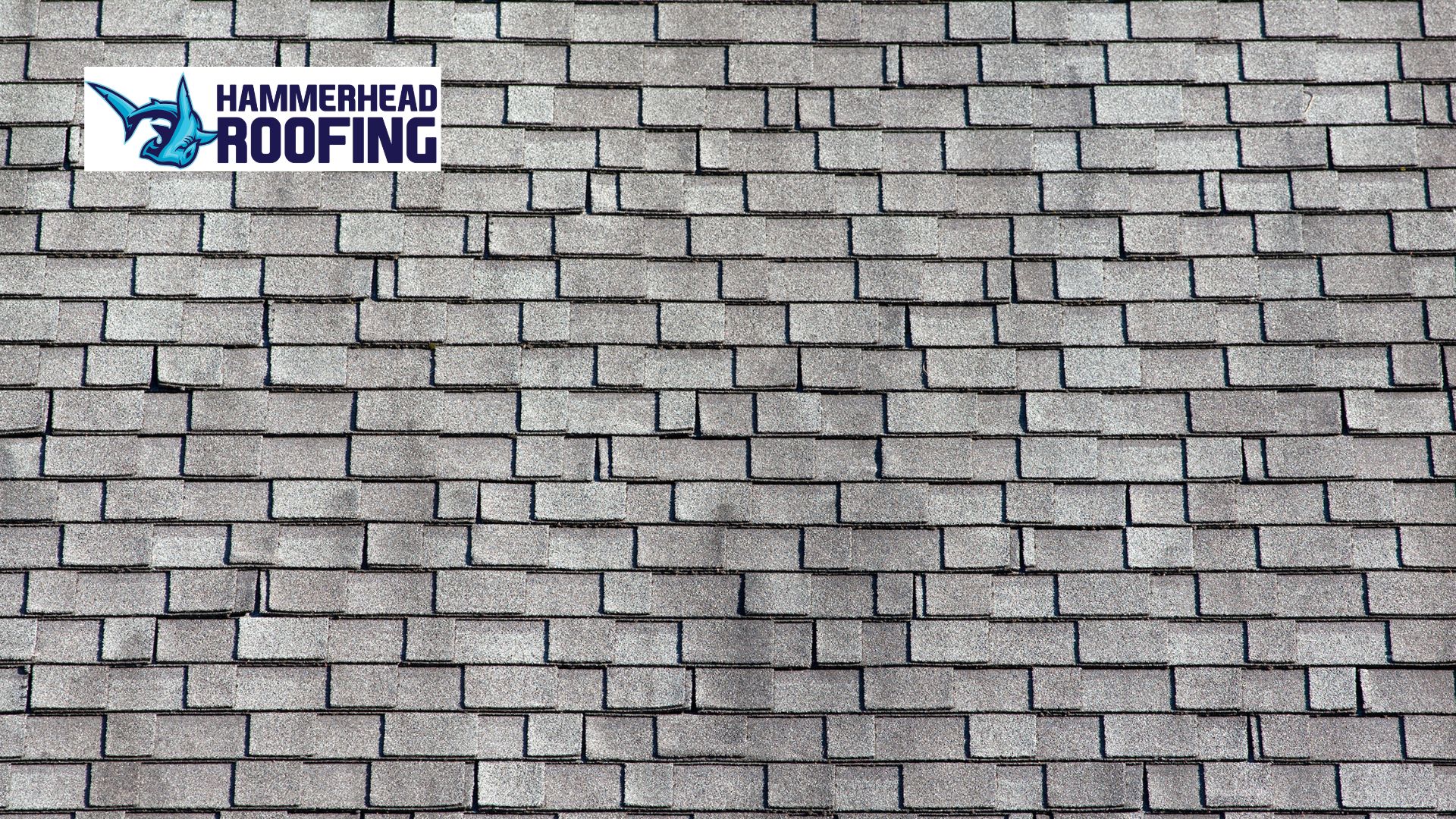 asphalt shingles that look like cedar shakes