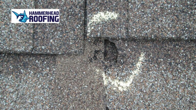 what does hail damage look like on a roof