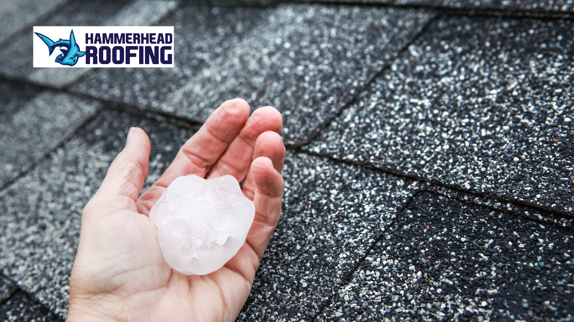 what does hail damage look like on a roof
