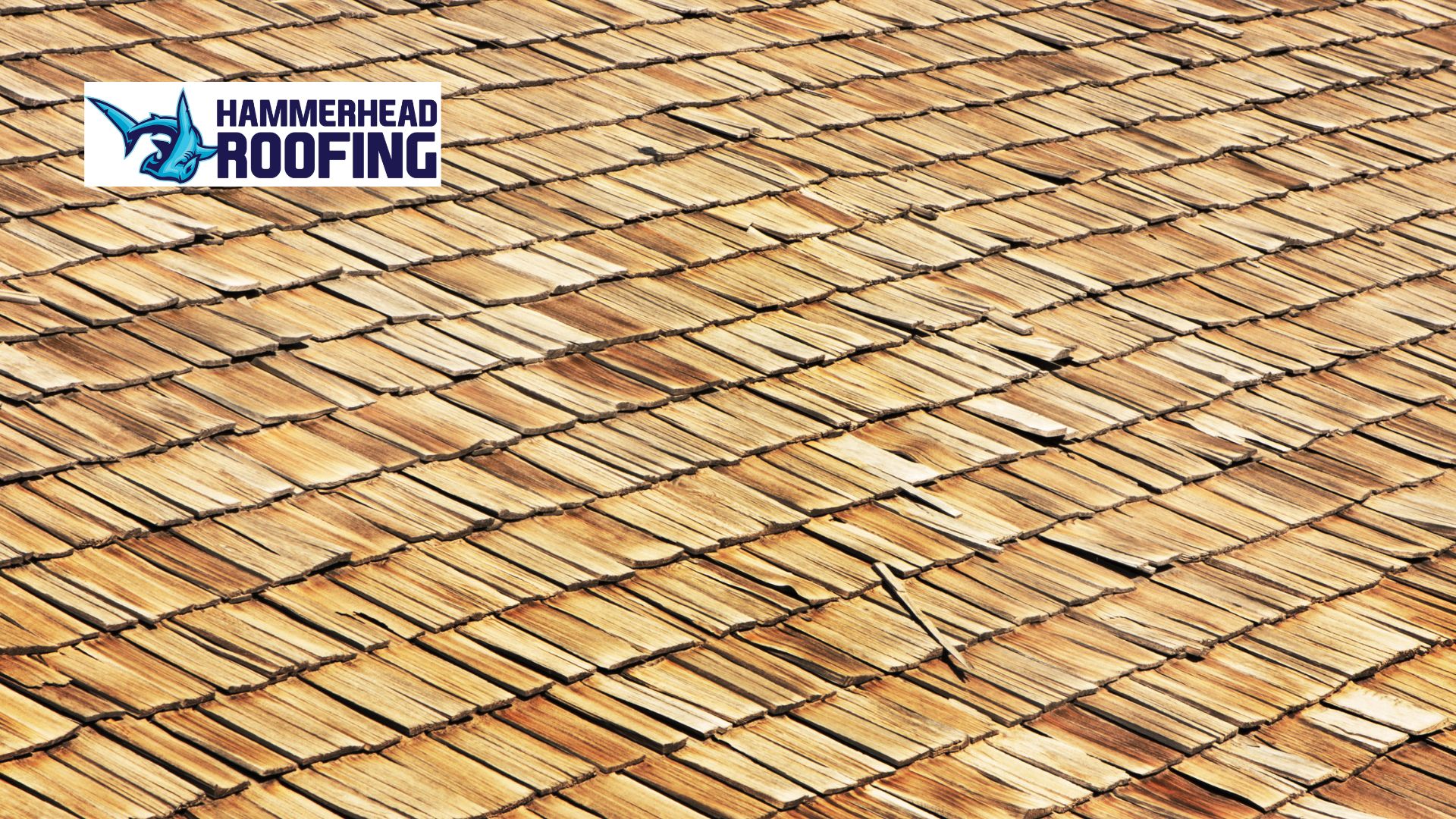 cedar roofing