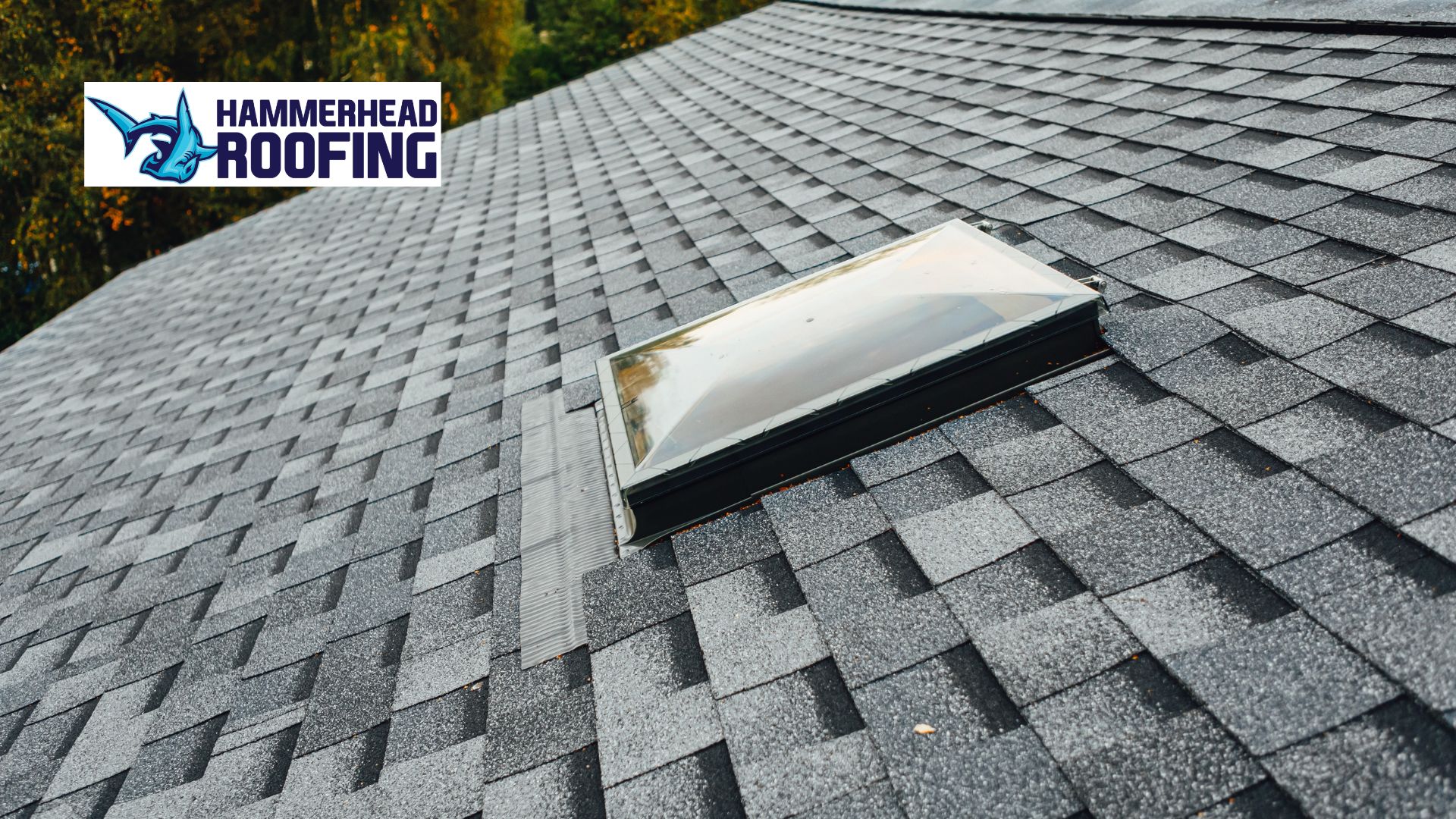 Install a Skylight on a Shingle