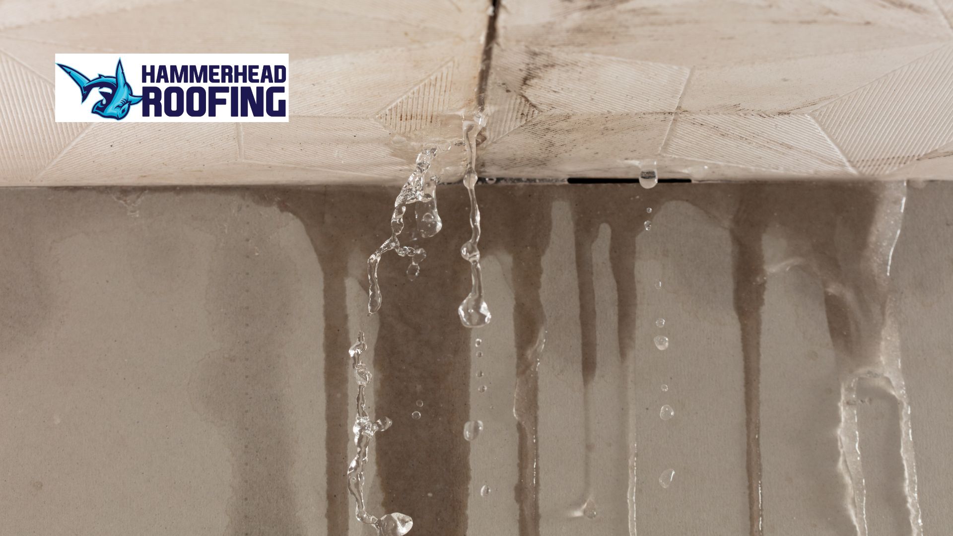 roof leak repair
