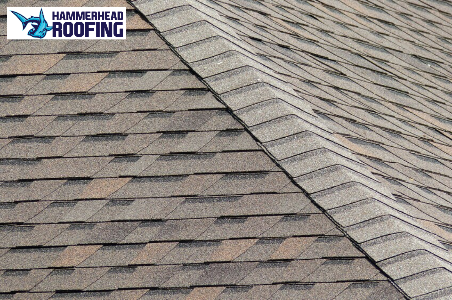best impact resistant shingles