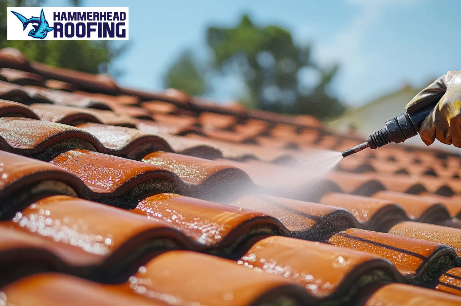 What Roof Maintenance Tasks Should Be Done in Killingly Weather